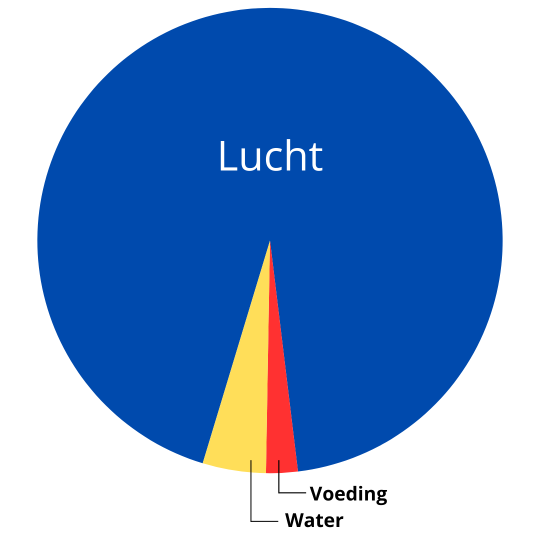 Belang van lucht tov water en voeding